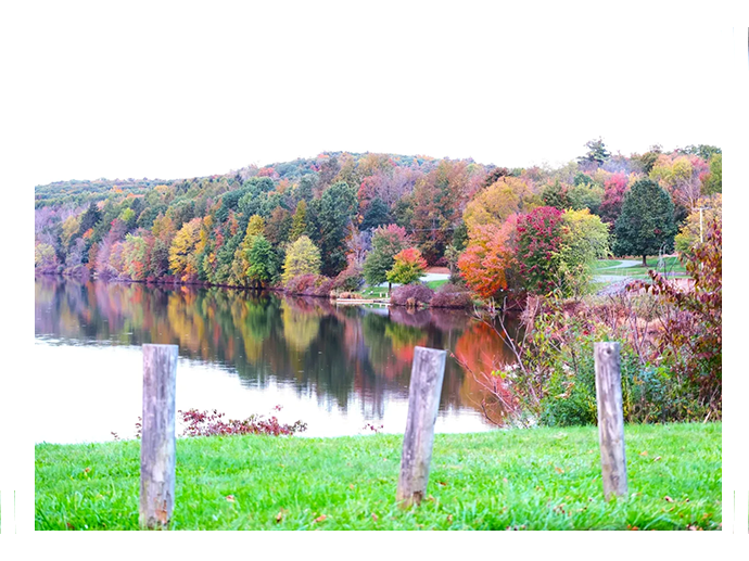 A lake with trees in the background and grass on one side.